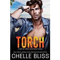 Torch by Chelle Bliss PDF ePub Audio Book Summary