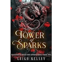Tower of Sparks by Leigh Kelsey PDF ePub Audio Book Summary