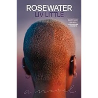 Rosewater by Liv Little PDF ePub Audio Book Summary