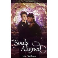 Souls Aligned by Arian Williams PDF ePub Audio Book Summary