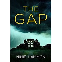 The Gap by Ninie Hammon PDF ePub Audio Book Summary