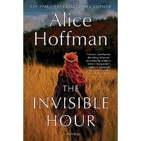 The Invisible Hour by Alice Hoffman PDF ePub Audio Book Summary