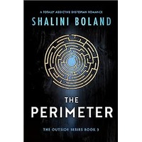 The Perimeter by Shalini Boland PDF ePub Audio Book Summary
