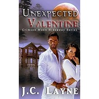 Unexpected Valentine by J.C. Layne PDF ePub Audio Book Summary
