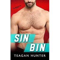 Sin Bin by Teagan Hunter PDF ePub Audio Book Summary