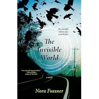The Invisible World by Nora Fussner PDF ePub Audio Book Summary