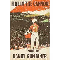 Fire in the Canyon by Daniel Gumbiner PDF ePub Audio Book Summary