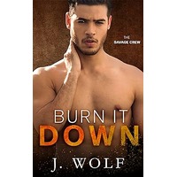 Burn it Down by Julia Wolf PDF ePub Audio Book Summary