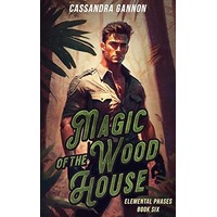 Magic of the Wood House by Cassandra Gannon PDF ePub Audio Book Summary