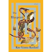 The Blueprint by Rae Giana Rashad PDF ePub Audio Book Summary